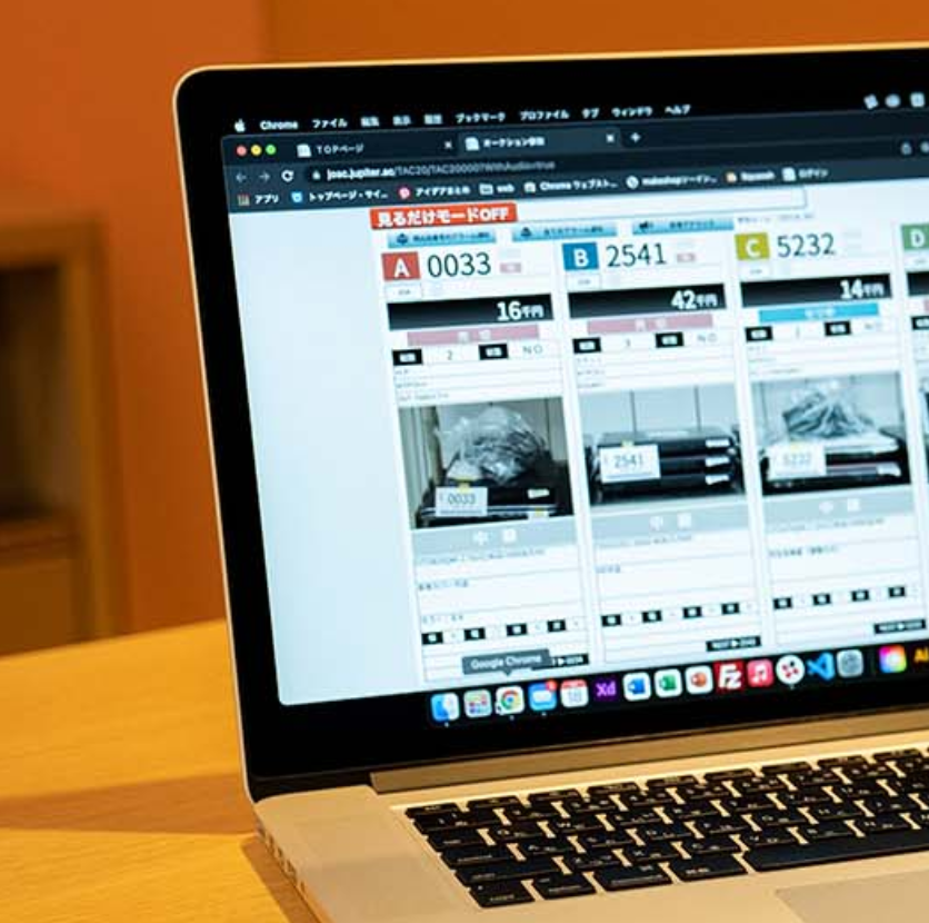 Business Auction Proxy Service