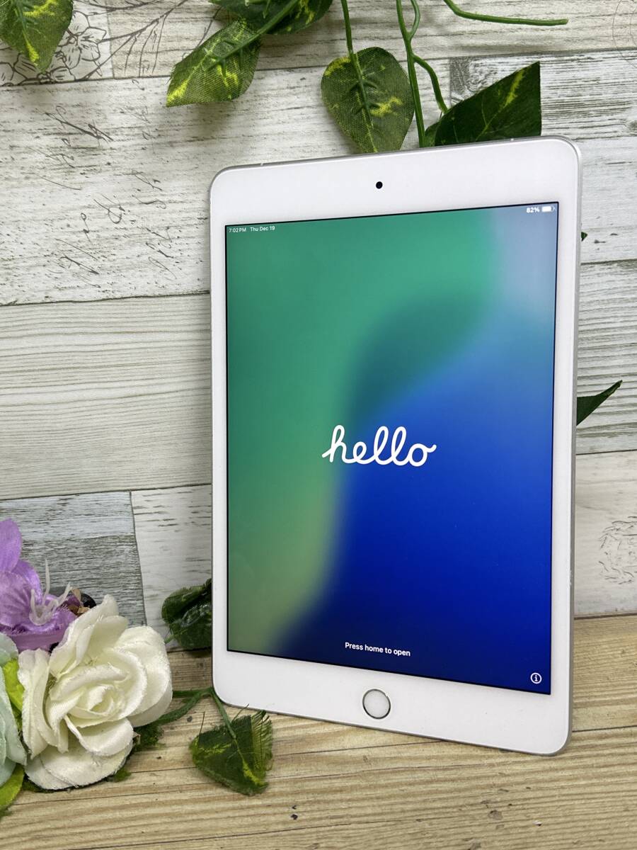 iPad Mini 5 (Wi-Fi + Cellular, 256GB)